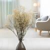 Gipsówka Stabilizowana - (Gypsophila) - Naturalna Biała