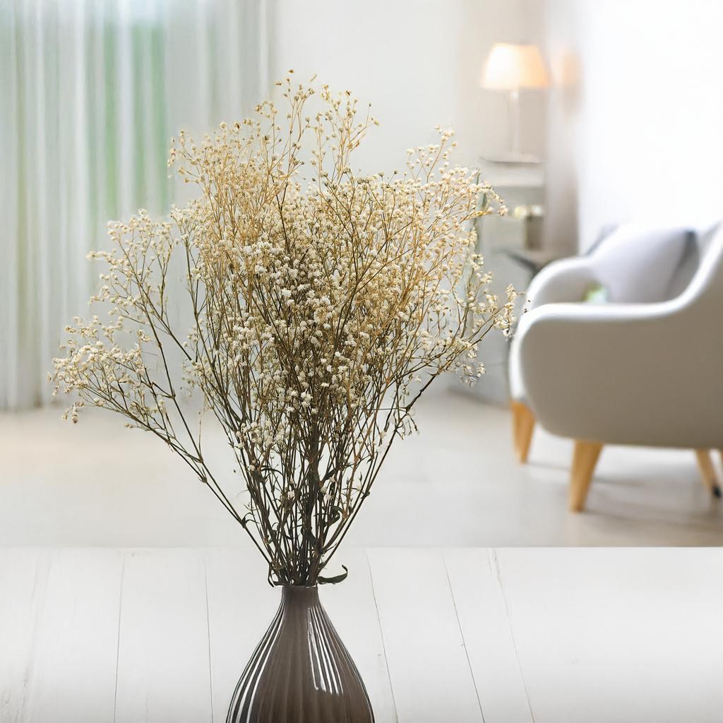 Gipsówka Stabilizowana - (Gypsophila) - Naturalna Biała