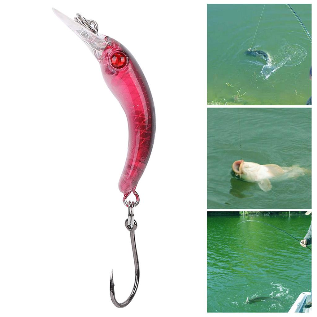 Lifelike Hard Lure Minnow Bait with Hook Fishing Crankbait Wobbler Tackle Accessory (D)