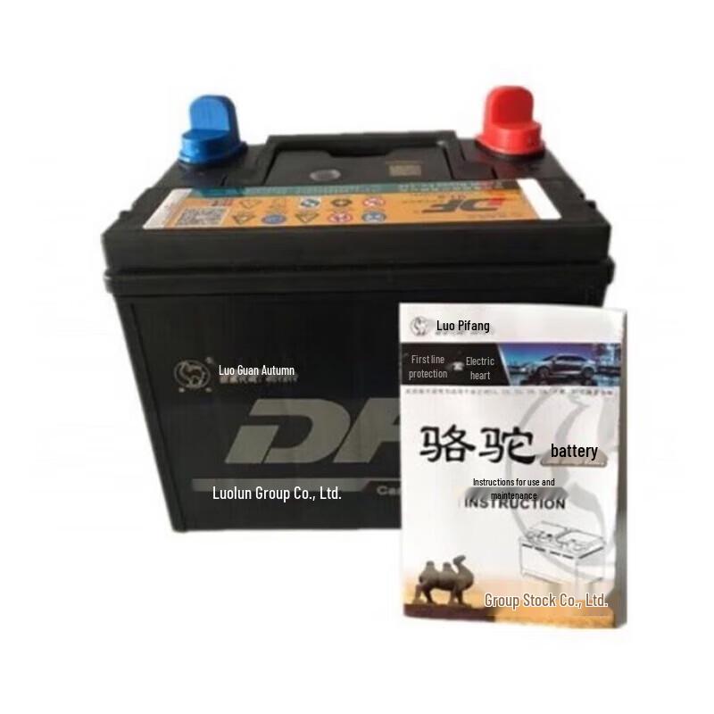 Camel DF 12V Maintenance-Free Lead-Acid Battery