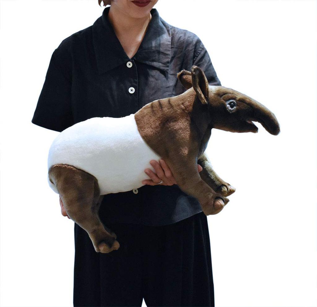 BH5088 HANSA Malayan Tapir 56