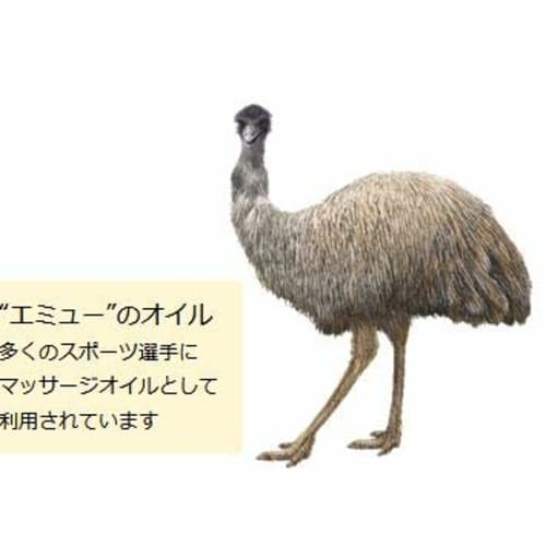 Noguchi Medical Research Institute Glucosamine Topical Emu Easy Relief 50g X 2 Packs