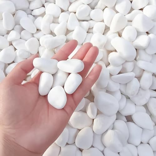 Transform Into High-quality Garden That Stands Out Whiteness. Takumi Plate Gravel 20kg 20mm - 30mm Use Security Round White Stones Paving (white 1 Box
