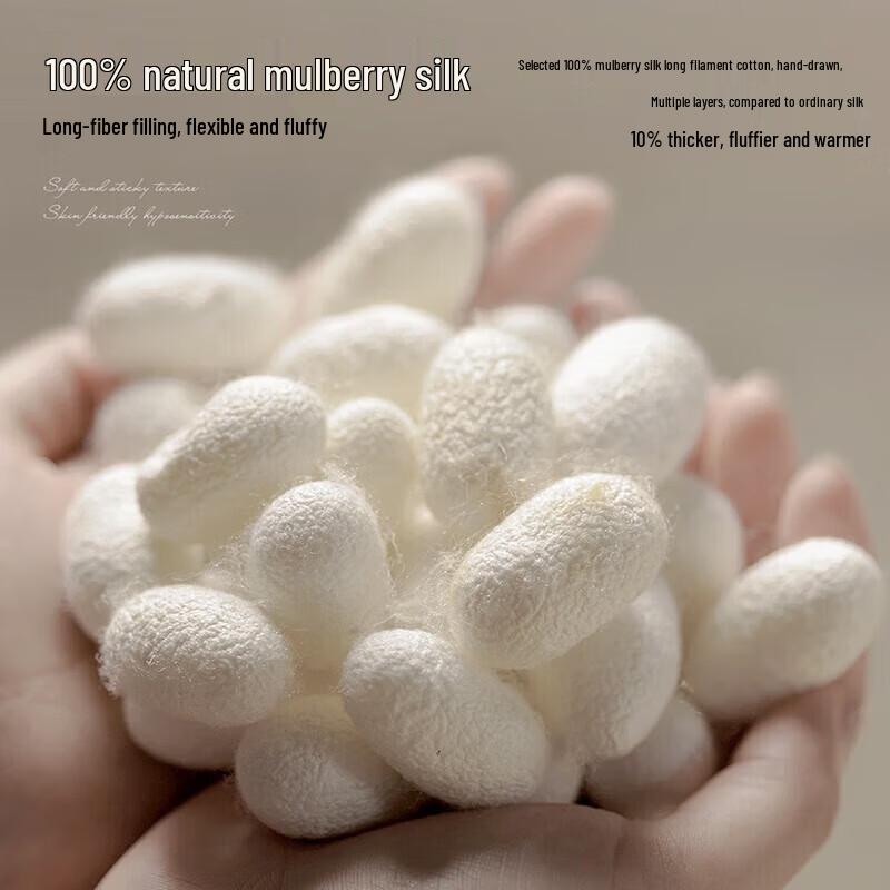 Mengjie Home Textiles 100% Mulberry Silk & Long-Staple Cotton Jacquard Two-in-One Quilt