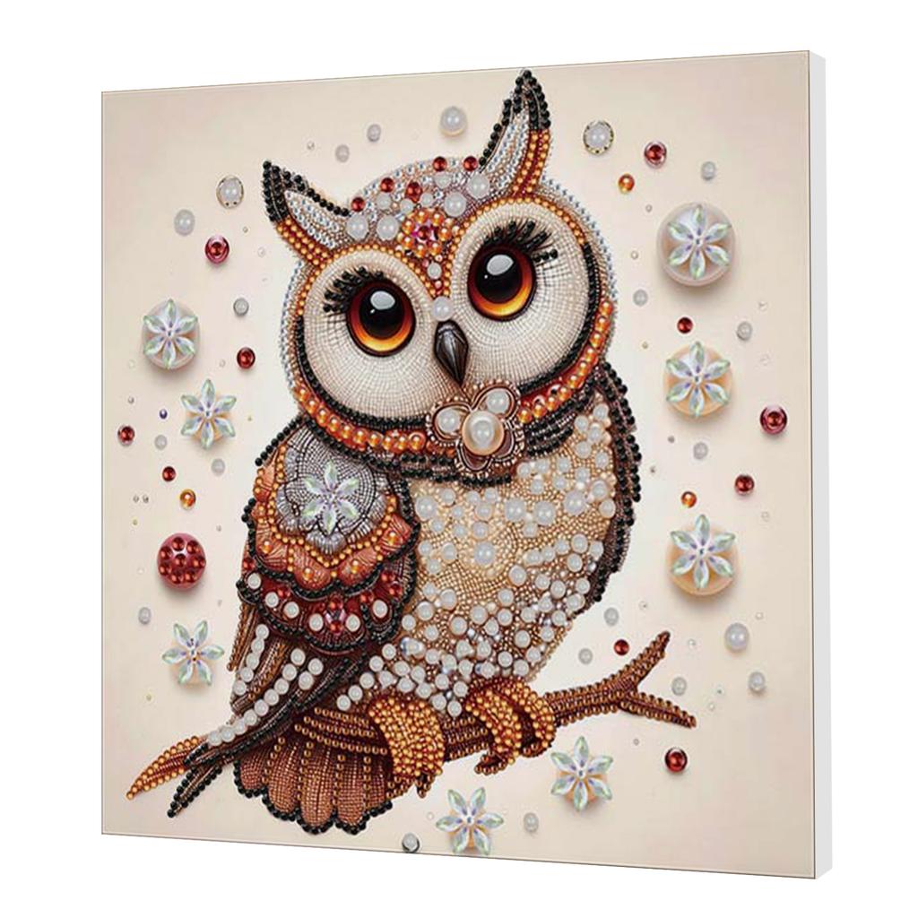 DIY Special Shape Drill Art Craft Pearl Diamond Painting with Frame 25x25cm Pearl Art Painting Set for Adults Home Wall Decor
