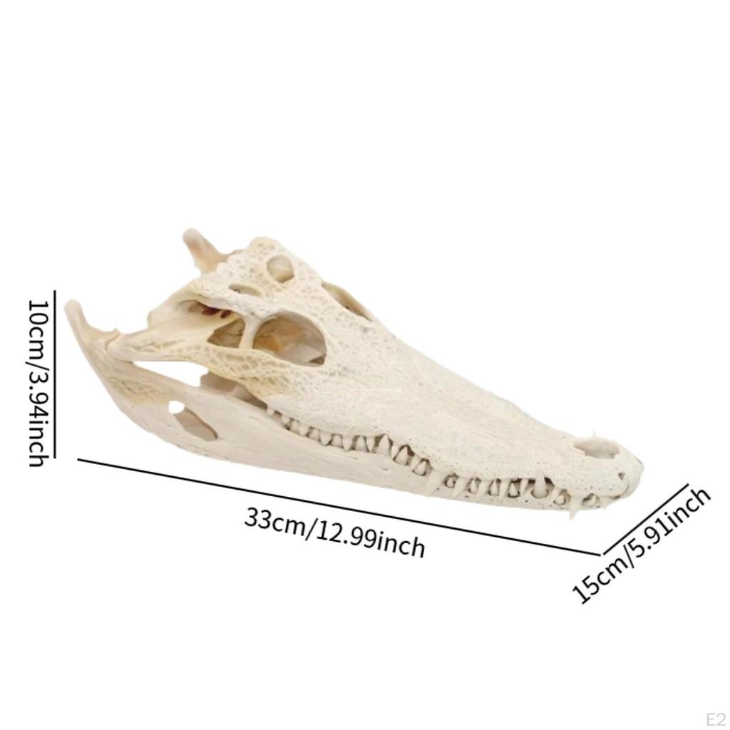 Realistic Figurine Resin Dry Habitat Decoration Accessory Animal Ornament for Party Kitchen Study