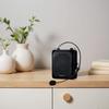 SHIDU S516 Portable Wireless Voice Amplifier CN Plug (adapter Included)