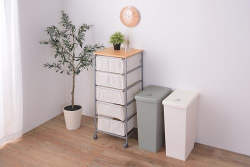 Azumaya-kk Trash Can with Lid, White, W27 X D42 X H60.5cm, LFS-763WH