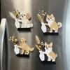 Kreativer Katzen-Kühlschrankmagnet Acryl-Haustierhaarsammler Kühlschrankmagnet Vasendekor Küchengebrauch