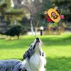 Plüsch-Hundespielzeugball mit Gesang, lustiges interaktives Haustierspielzeug mit Glöckchen, Zahnreinigungs-Kauspielzeug für kleine und große Hunde, Katzen, Welpenspielzeug