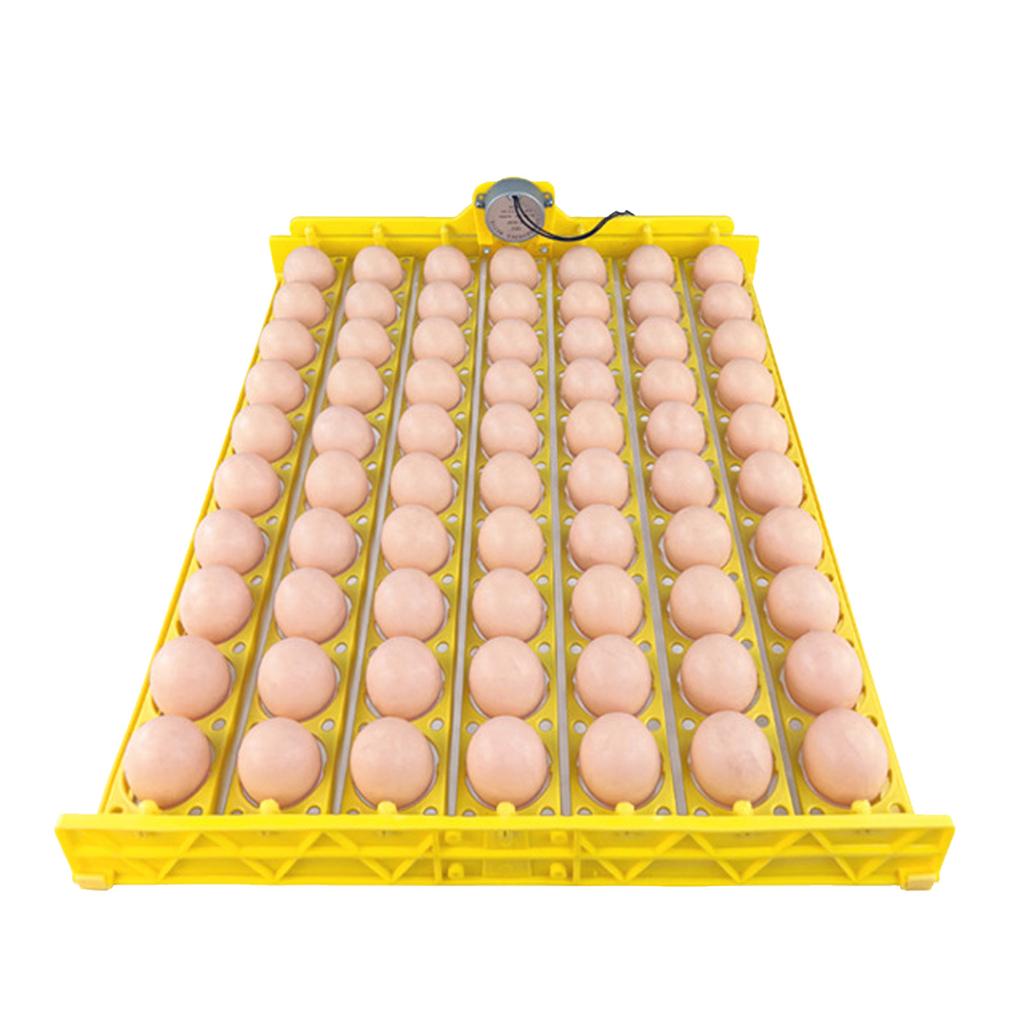 Automatyczna taca do obracania jaj 70 jaj Cicha taca do inkubatora jaj z silnikiem do wylęgu