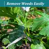 Diserbo Fessure a L Utensile Manuale da Giardino per Diserbo Acciaio Inossidabile Dispositivo per Diserbo Estirpatore Estirpatore Strumenti da Giardinaggio