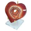 Display Stand Adjustable Metal Display Rack with Clear Acrylic Base for Collections Craft Plate Jewellery