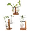 Plant Propagation Station with 1/2 Glass Vases And Wood Stand Decorative Tabletop Terrarium Planter Clear Glass Hydroponic Vase for Office Garden Home
