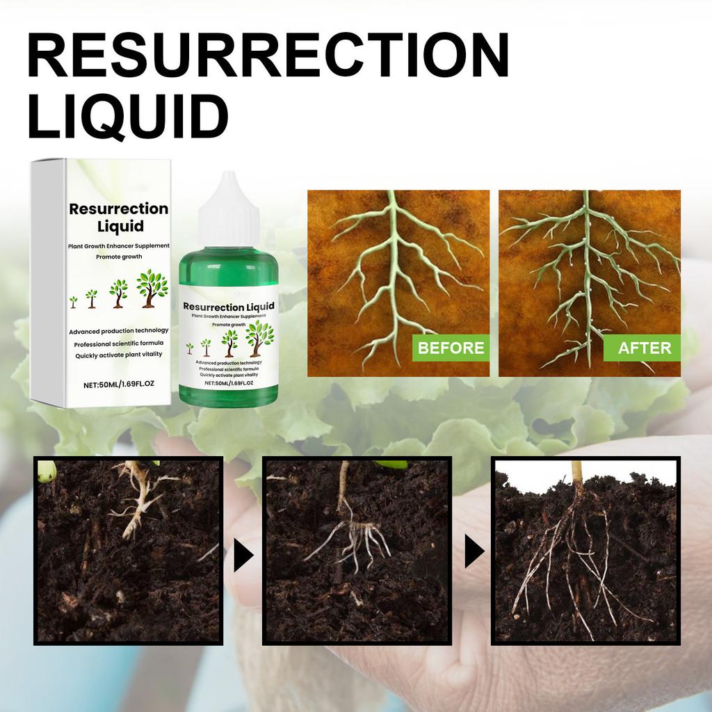 Plant And Flower Activating Liquid Solution Improves Plant Health Promote Root Development Plant Nutrient Solution