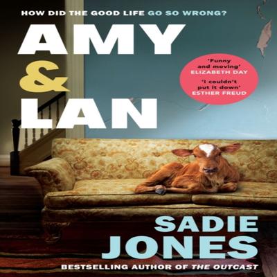 Amy and Lan by Sadie Jones Paperback Book 9781529116175