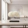 Coral Sculpture Textured with Base Modern for Bookshelf