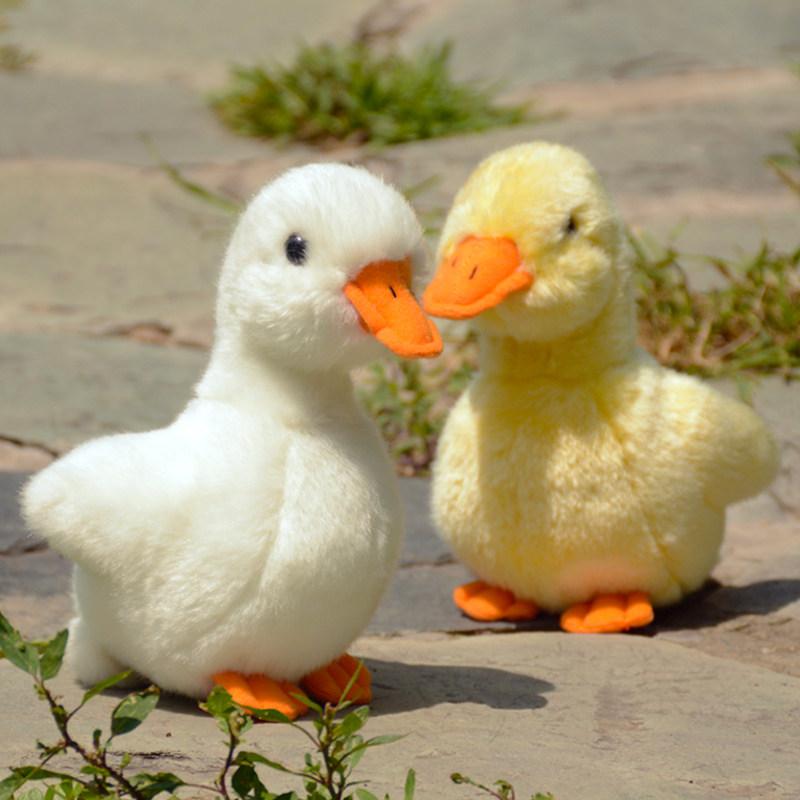 17x17cm Realistisches Enten-Stofftier Niedliches Kleines Gelbes Enten-Stofftier Quakende Ente Spielzeug Geburtstagsgeschenk