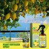 100 ml ekologiškų skystųjų trąšų citrinmedžio lapams augti purškiklis koncentruotas trąšų stiprintuvas rūkas visoms citrusinių ir citrinmedžių rūšims