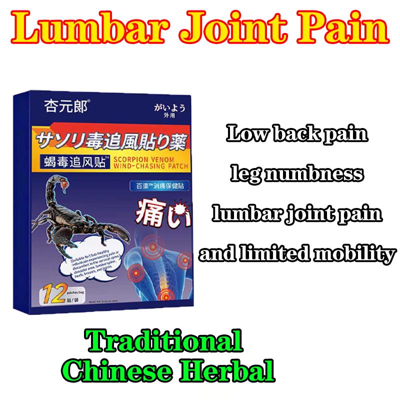 Lumbar Spine Compression Nerve Lumbar Pain Sticker