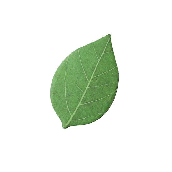 Leaf-Shaped Sticky Notepads Removable Memo Pads Paper Sticker Pads Anti-Forgetting Reminder Note for Home Wall Photo DIY Decoration