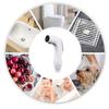 100% Brand New Bidet Spray Bridesmaid Washer Nozzle For Muslim Sanitary Shattaf
