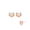 Silver Earrings Sc1556