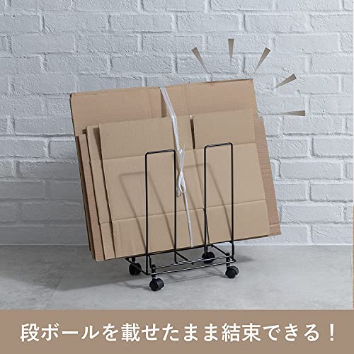 [BLKP] Pearl Metal Cardboard Storage Rack, Resin, Ready-to-Bind, Cardboard Stocker, Limited Edition, Black, BLKP, AZ-5167
