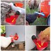 Bowl Drinker Cups Poultry Tools Chicken Drinker Fowl Drinker Birds Water Bowl Poultry Waterer