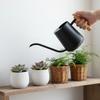 Long Lasting Ergonomic Stainless Steel Watering Tool Equipped with Ergonomic Wood Handle Ensuring Easy Controlled Pouring