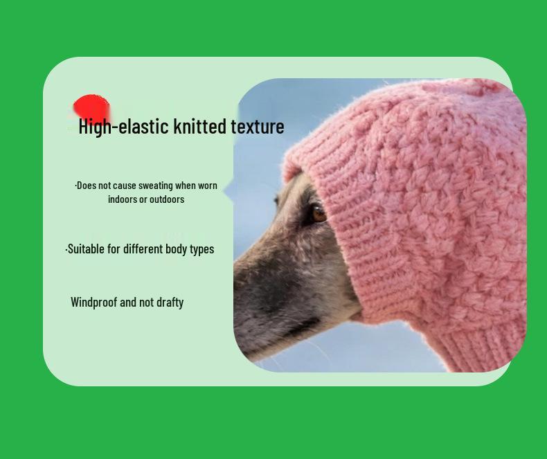 Cozy Wool Hat for Whippets & Italian Greyhounds