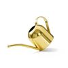Golden 500ML Stainless Steel Watering Can with Long Spout - Green Plant Sprayer & Small Garden Sprinkler