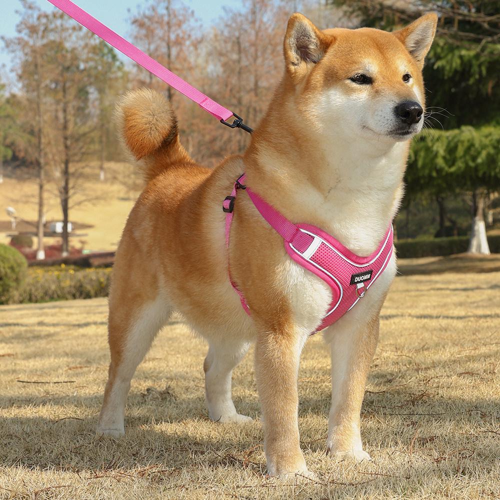 Harnais Gilet Respirant Réglable & Laisse pour Chiens de Petite à Moyenne Taille - Sans Rembourrage, Sans Étranglement, Idéal pour les Shiba Inus & Bouledogues Français
