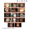 TV Anime and Merchant Meets the Wise Trading Holo Stills Bromide Box "Spice Wolf Wolf" 14-Piece