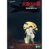 Grave Fireflies DVD
