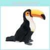Realistic Plush Toucan Stuffed Animal Bird Toy 30cm Black Children's Doll Decoration