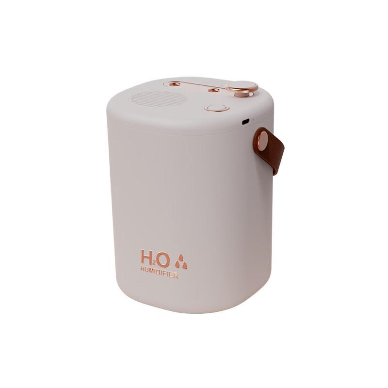 Portable Dual Spray Humidifier with Night Light