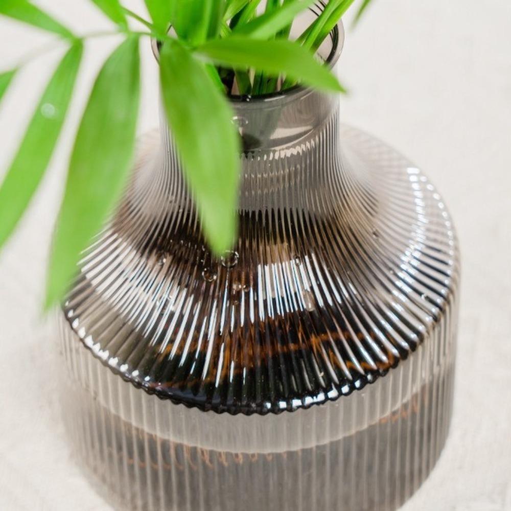 Neuer transparenter hydroponischer Pflanztopf Kunststoff Heimdekoration Pflanzenflasche Blumentopf