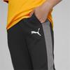Puma Evostripe Pants 67006901 R 116