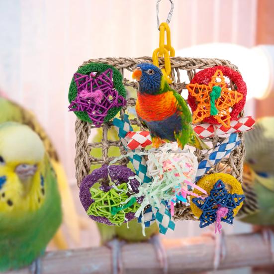 Vogel-Kauspielzeug Bunter Fünfzackiger Stern Zerknülltes Papier Zubehör Geflochtenes Netz Papageien Hängendes Netz Bissspielzeug Vogelzubehör