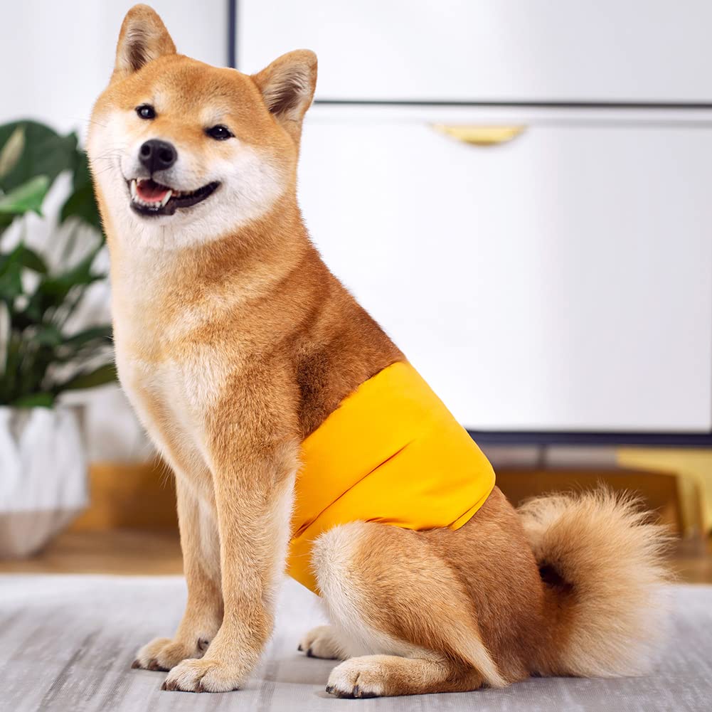 KUVEELA PET Dog Manners Diaper Cover for Male for and Suitable for Heat Season Belt, Dogs, Breathable, Absorbent, Reusable, Walks, Outings, Indoors,