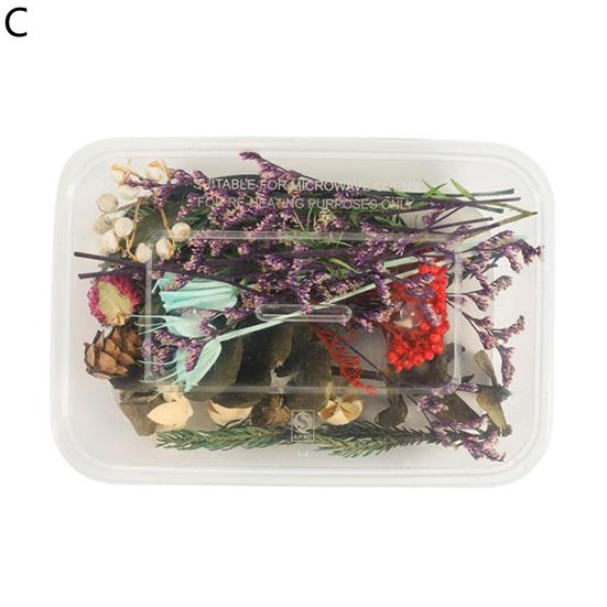 Artă populară Floare uscată Moale Vii Estetică