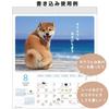 Active Corporation 2026 Calendar Wall Hanging DOG Wall Calendar Starts January 2026 26ACL-01