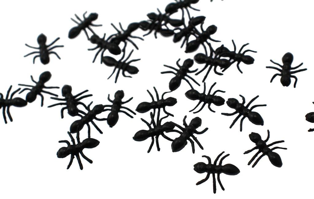 Speed Mao Ant Figure 100 Perfect for Pranks Model, Ants, Black, 1.5cm,