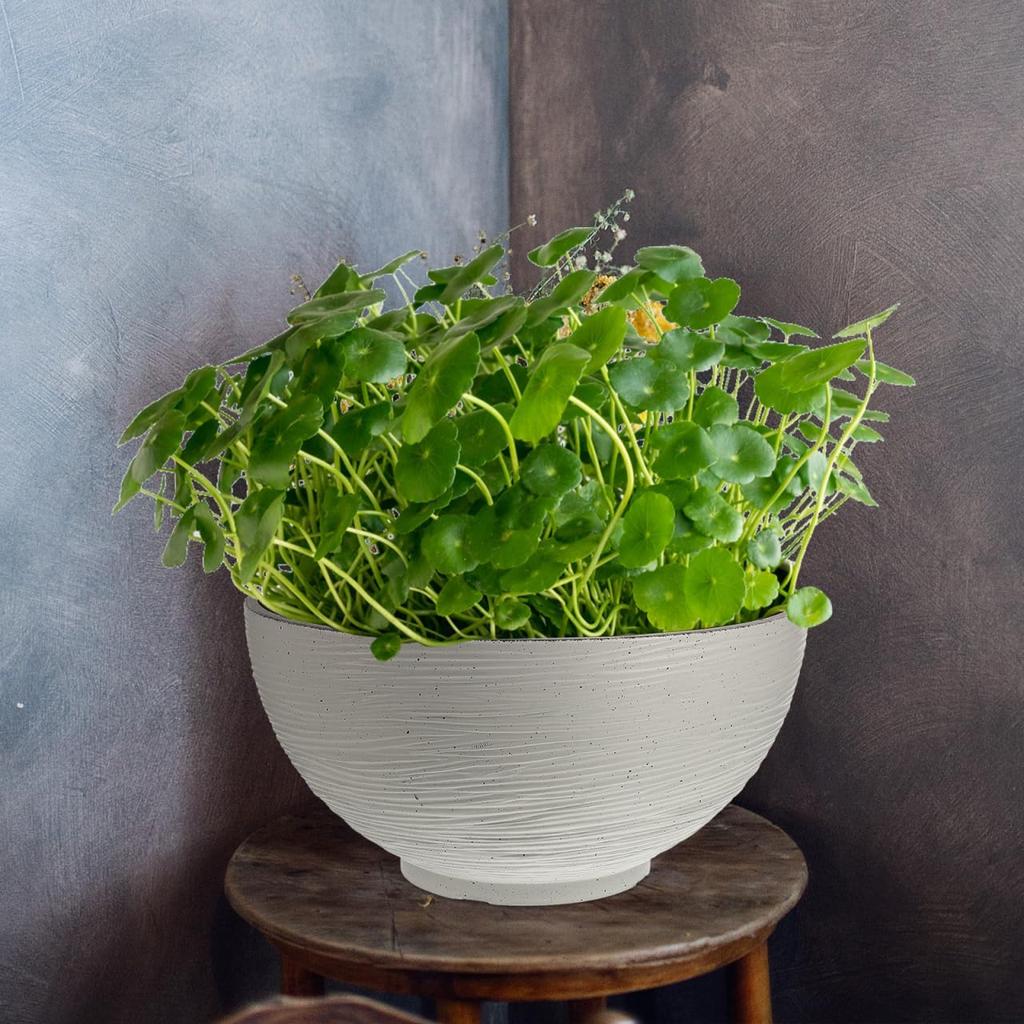 Housoutil Vintage Succulents Planter Ceramics Water Lily Bowl Hydroponic Planter Pot Round Succulent Nursery Pot Flowerpot Decoration (Beige) Office