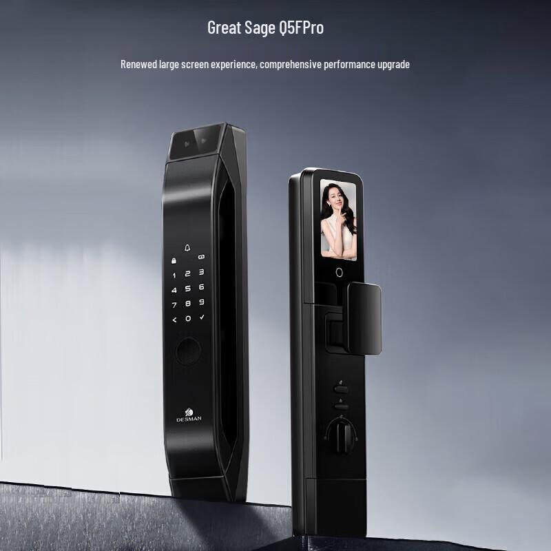 DESMAN Dasheng Q5FPro 3D Facial Recognition Smart Lock