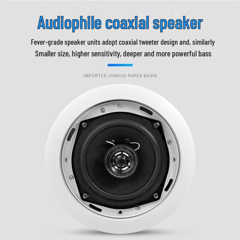 LINGSHENG In-Ceiling Speaker CN plug (adapter included)