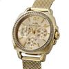 Boyfriend Watch 14502490 Gold Zifferblatt Edelstahl Quarz 33MM Uhr [Coach] Damen