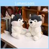 Cartoon Handheld Cute Rose Husky Plush Stuffed Toy Pillow For Decoration Room