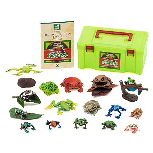 Colorata Frog 3D Encyclopedia (Frog / 16 types / with instruction booklet) Realistic Figure (Toy, Educational Toy) Birthday Present Gift (Food Sanitat